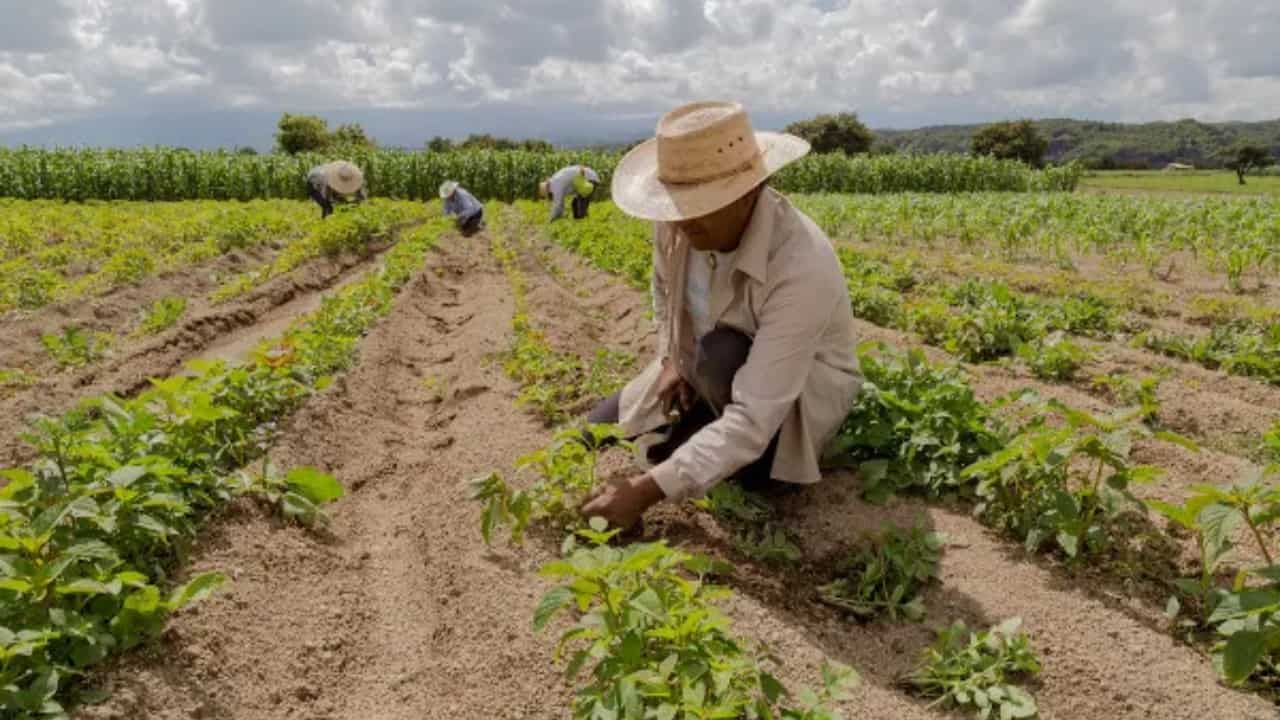 Cmn Aumenta Limite De Cr Dito Para Agroind Stria Familiar