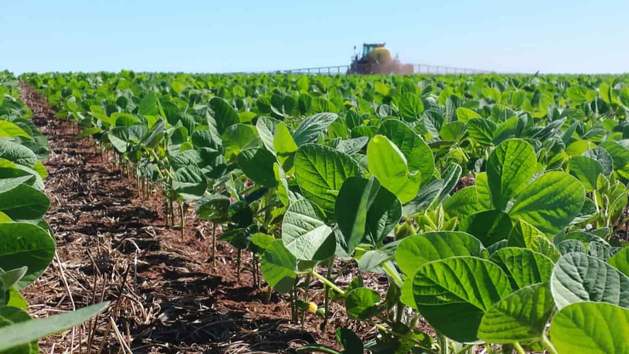 Mapa registra 51 defensivos agrícolas para controle de pragas