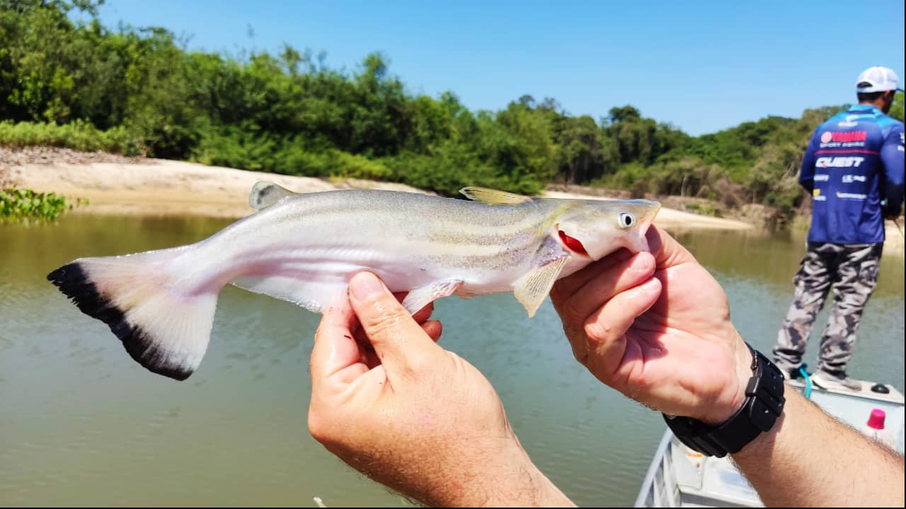 Palmas sedia 2º Torneio de Pesca Esportiva neste fim de semana