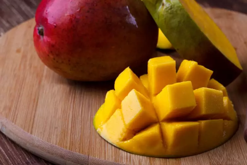 Como plantar manga veja a maneira de cultivar a árvore frutífera em vaso