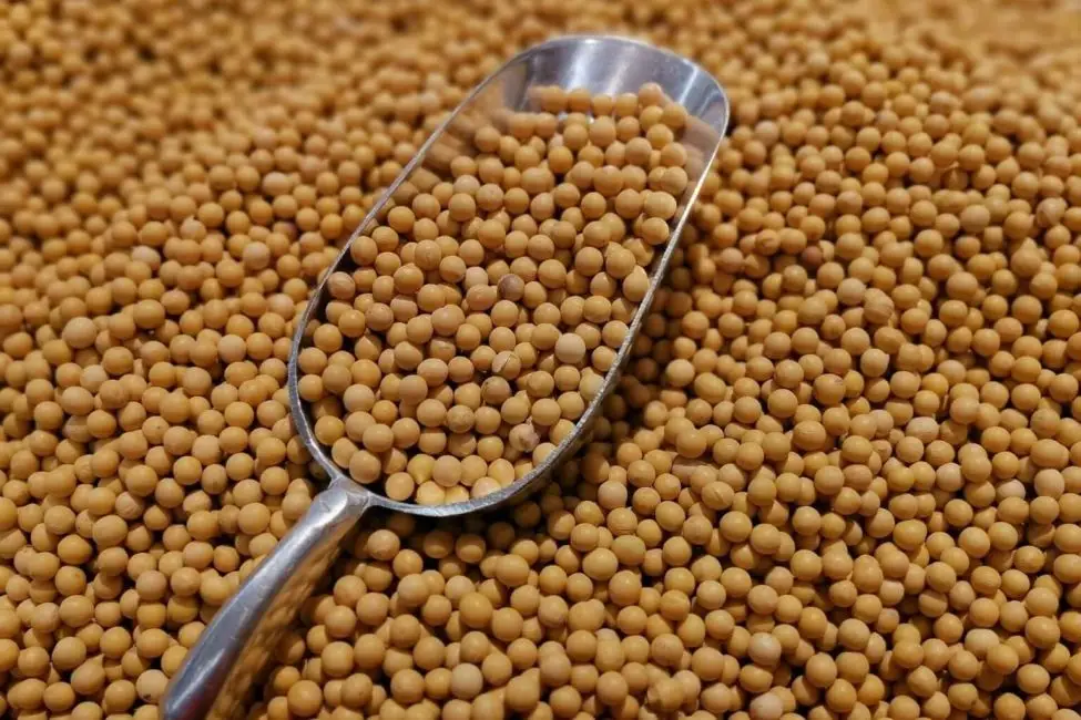 Foto: VCG/Getty Images