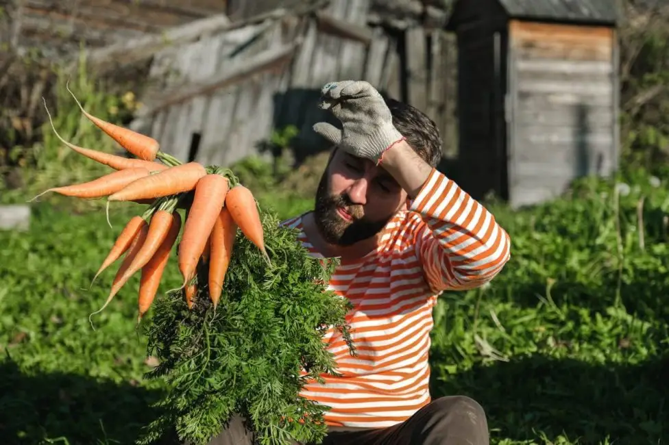 Foto: Banco de imagens