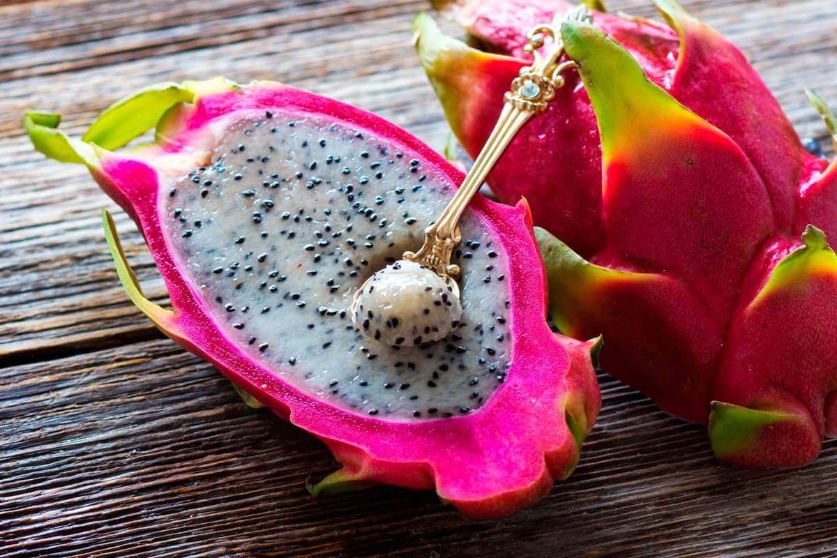 Como iniciar a plantação de pitaya: dicas e cuidados necessários com o cultivo - Portal Agro2