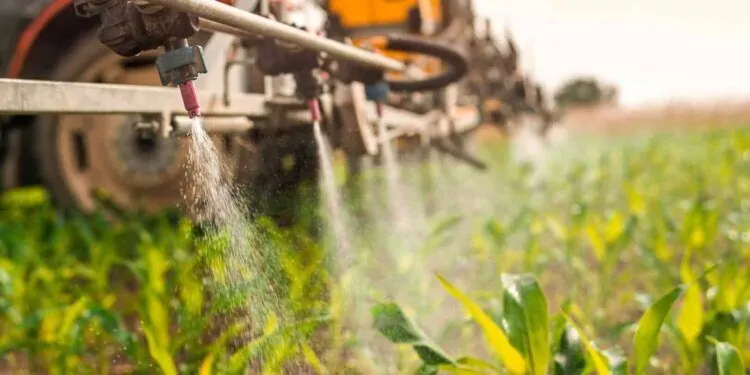 Entenda o uso de defensivos agrícolas e os tipos existentes no mercado 1 Foto: Reprodução
