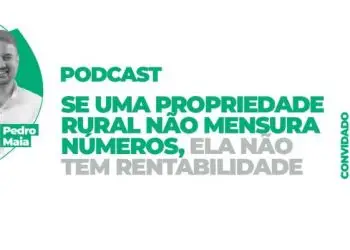 Podcast com Odair Terra