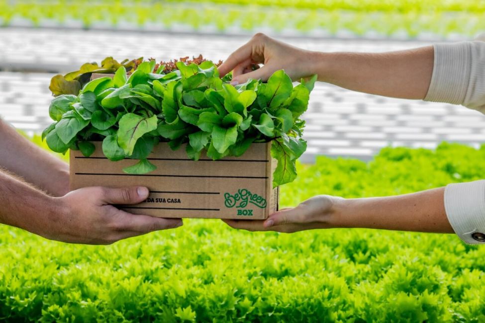 Foto: Divulgação/ BeGreen