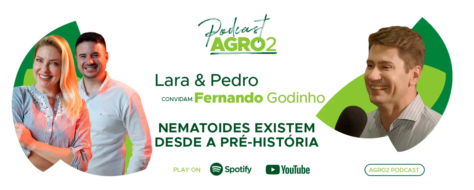 Thumb site Lara webp Fernando Godinho