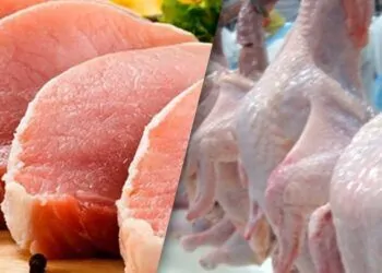 carne de frando e carne de porco