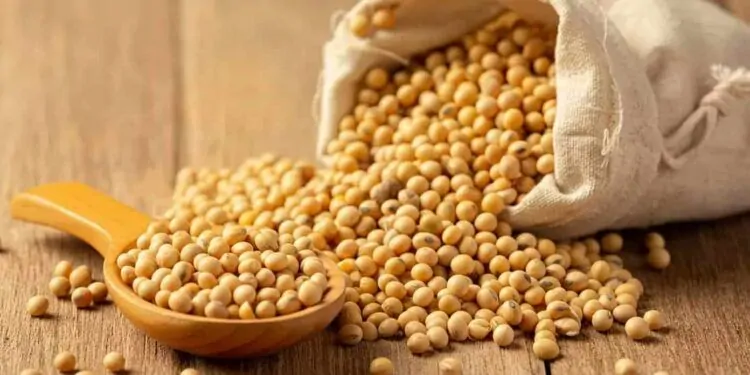 Após baixa nas importações feitas pela China, soja apresenta queda em Chicago 1 grãos de soja