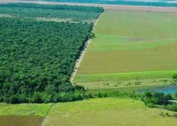 Reserva ambiental