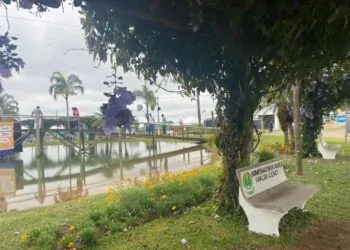 AgroBrasília-2022