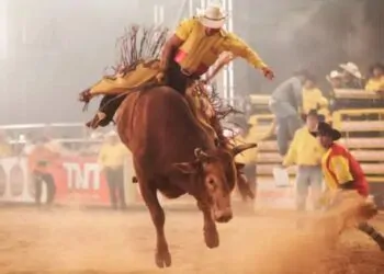 Homem montado em touro no rodeio