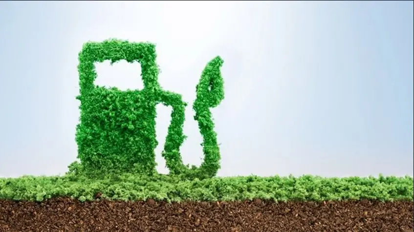 CCJ aprova PEC que garante competitividade aos biocombustíveis; saiba mais 3 Combustível bio