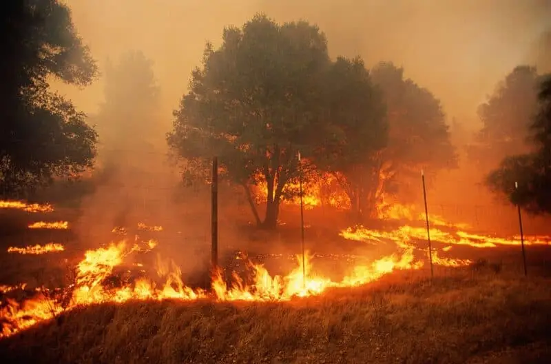 Câmara aprova projeto que permite uso de aviação agrícola no combate a incêndios florestais 3 Incêndio florestal