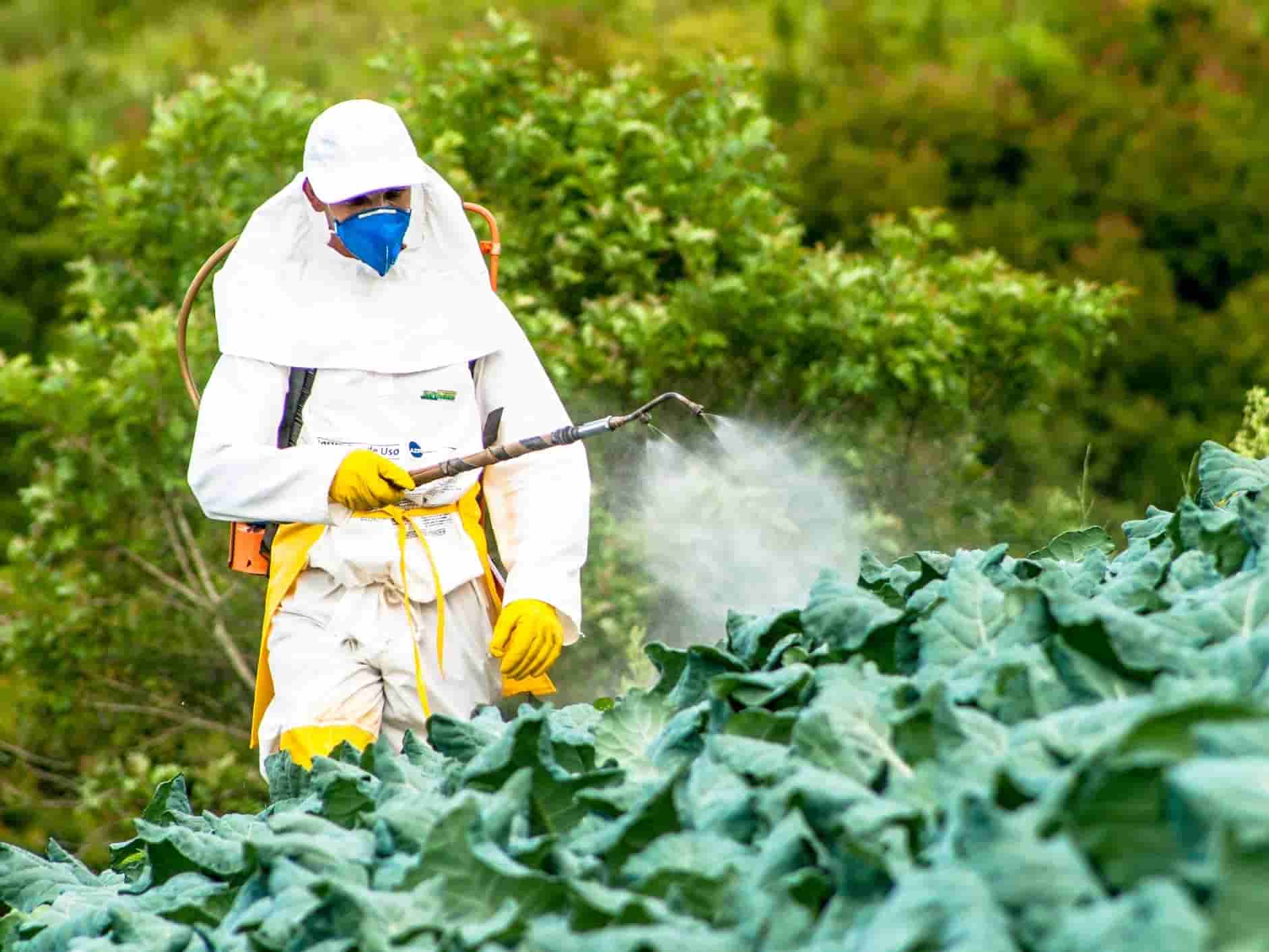 pesticidas qupimicos