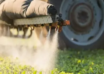 Pesticidas químicos