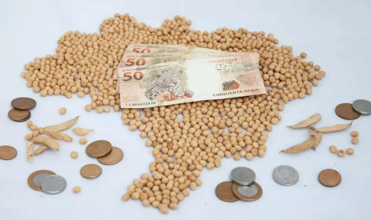 Soja brasileira