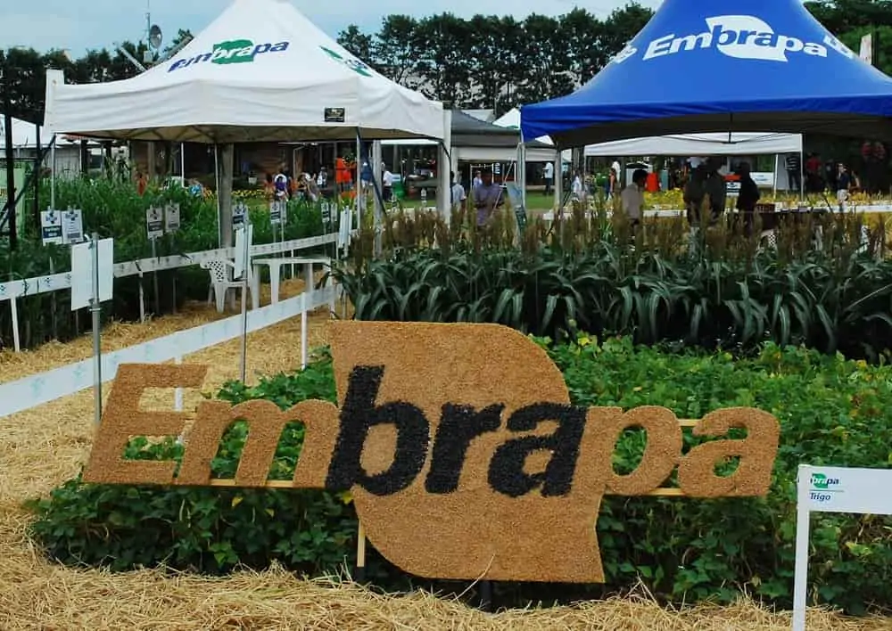 Embrapa