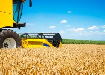 Produção de grãos