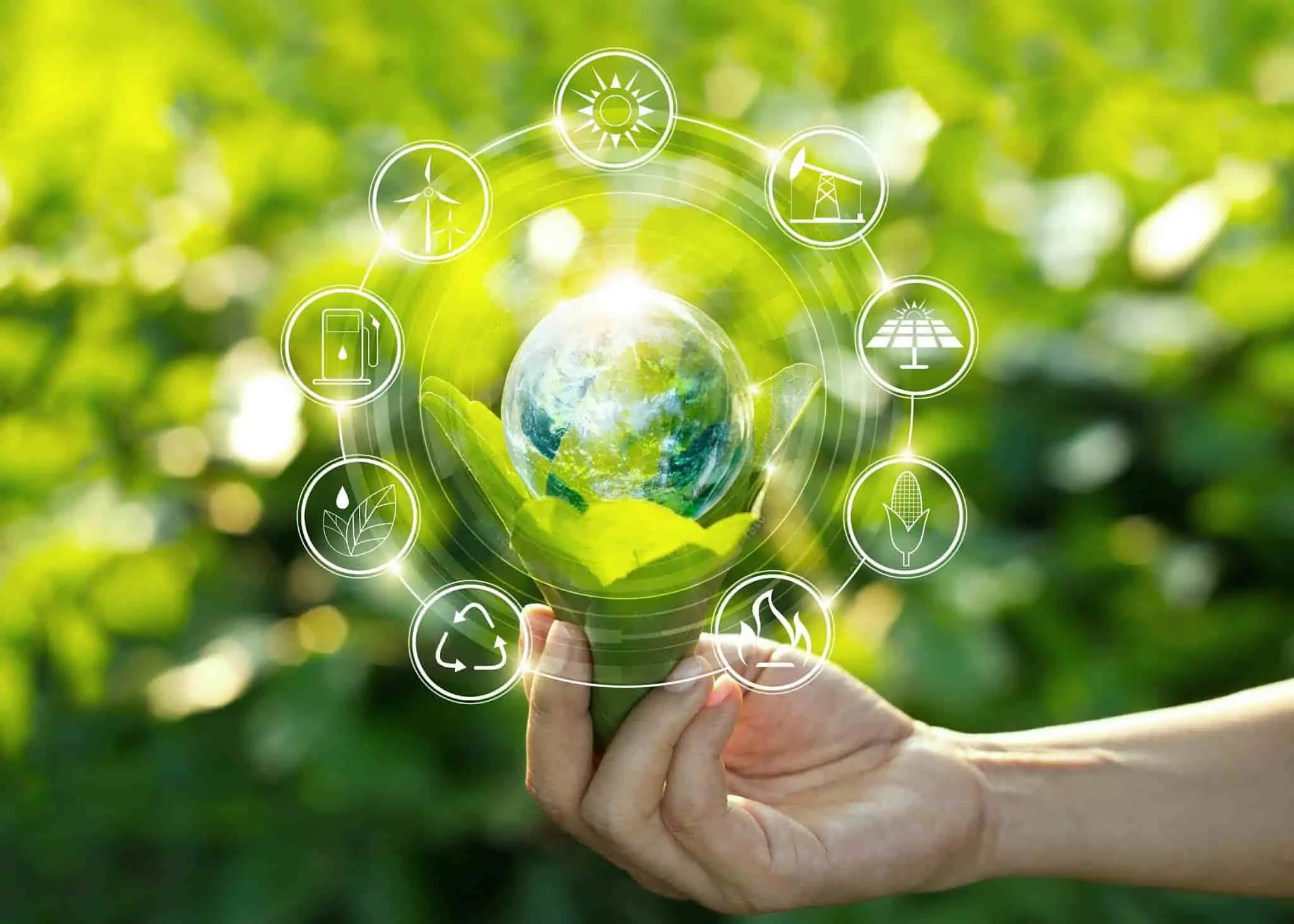 Sustentabilidade