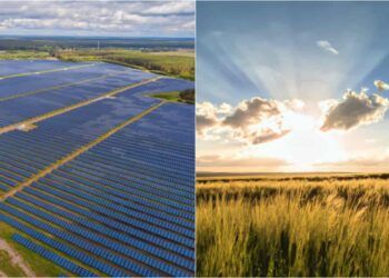 Energia solar agricultura familiar