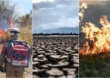 Período de seca e incêndio florestal