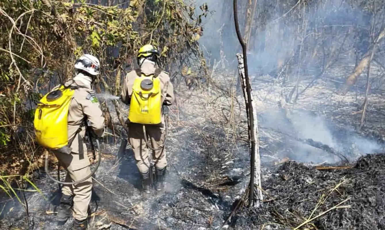 Incêndios florestais