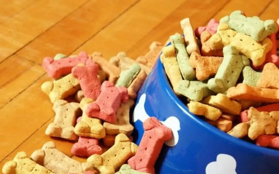 Petiscos de cachorro