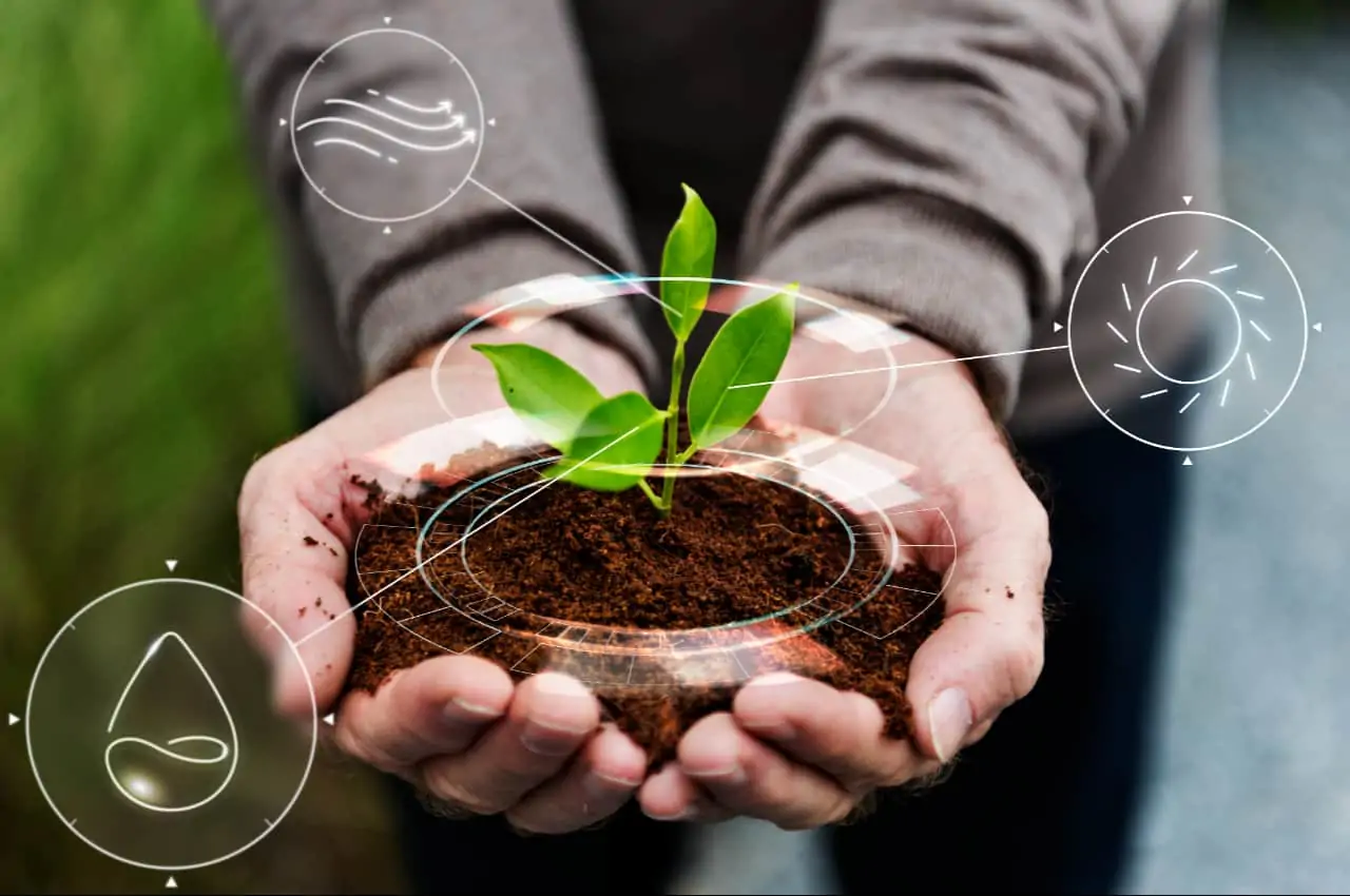 Sustentabilidade