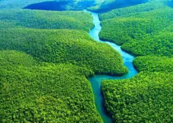 Floresta Amazônica