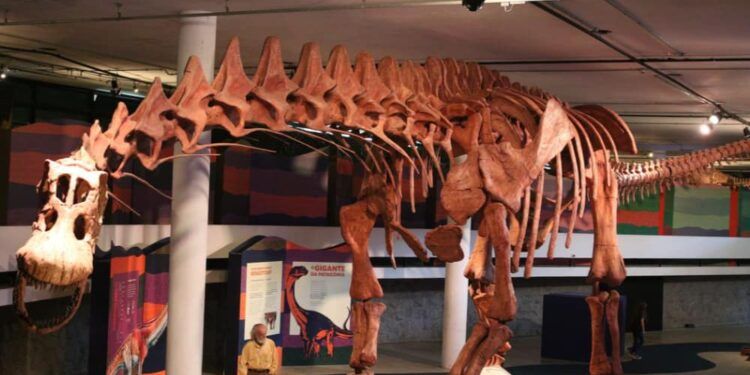 Replica-de-maior-dinossauro-do-mundo-e-exposta-em-mostra-de-SP