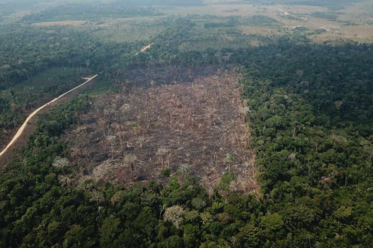 Amazônia sofre com o desmatamento