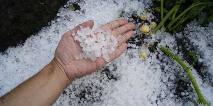 Queda de granizo