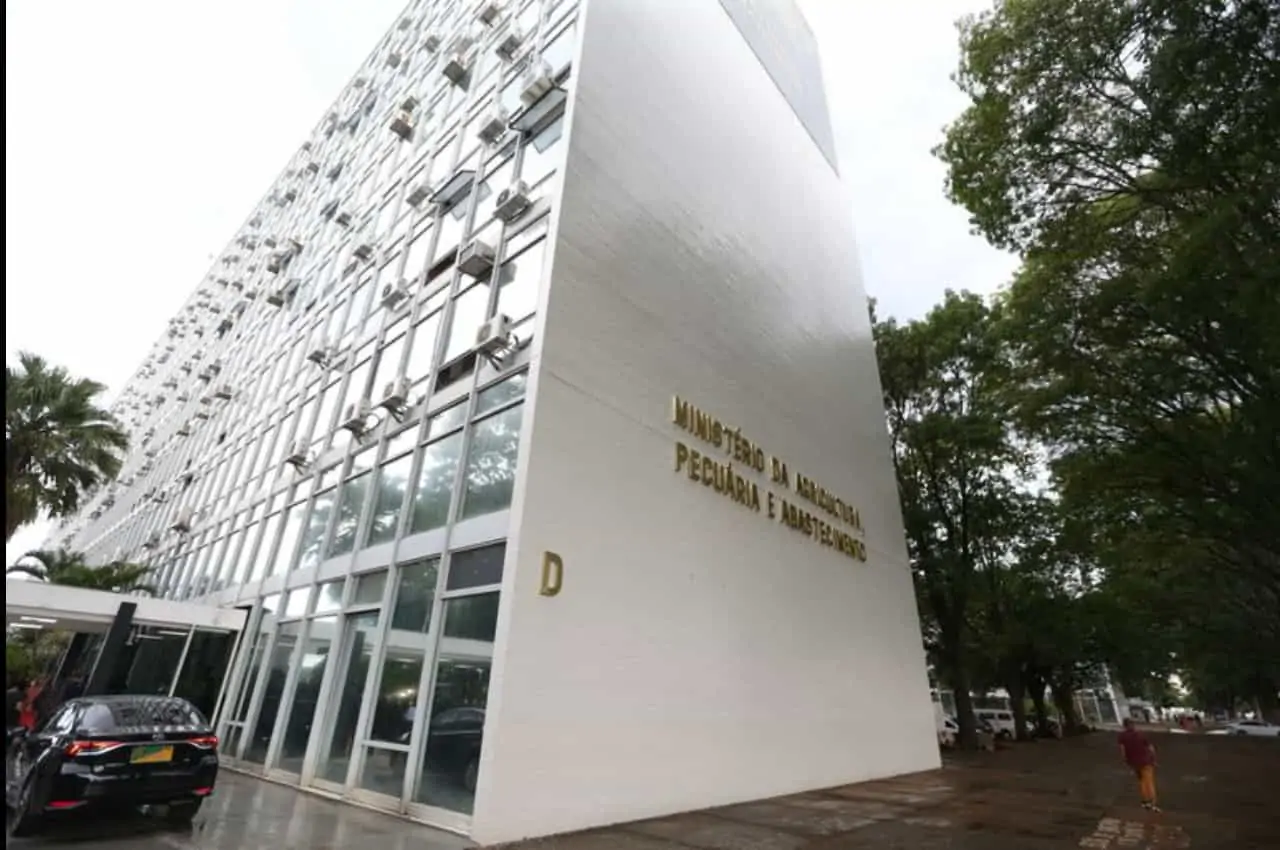 Segunda etapa de vacinação contra febre aftosa começa na próxima terça (1) 2 Alguns cuidados devem ser tomados para vacinação contra febre aftosa