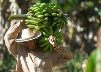 agricultura familiar