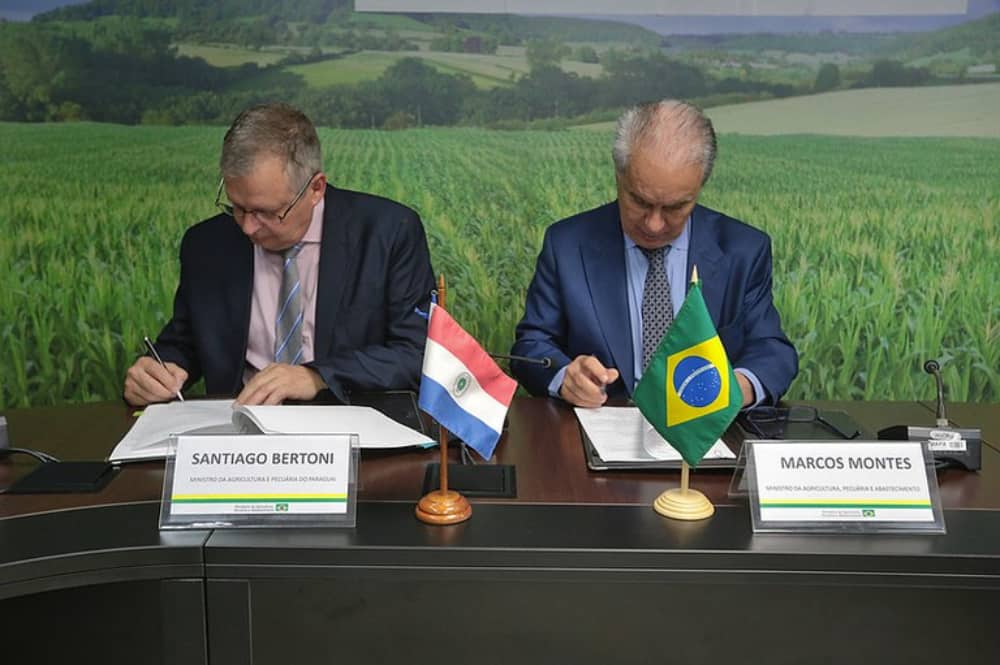 acordo entre brasil e paraguai para cooperacao de saude animal