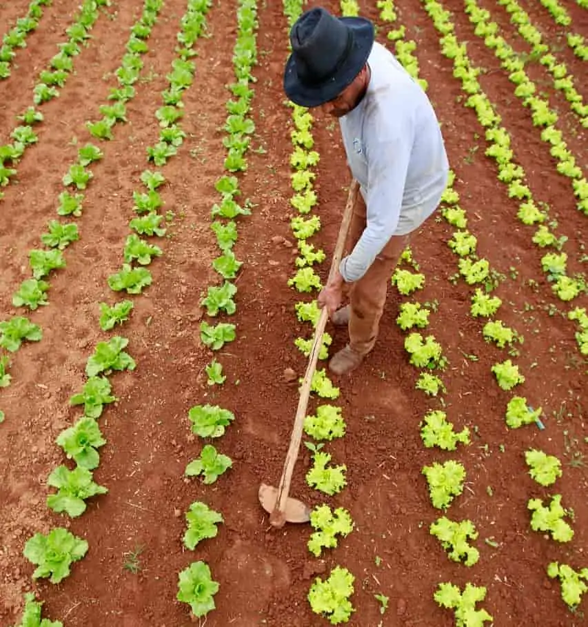 Fundo de Infraestrutura em Goiás
