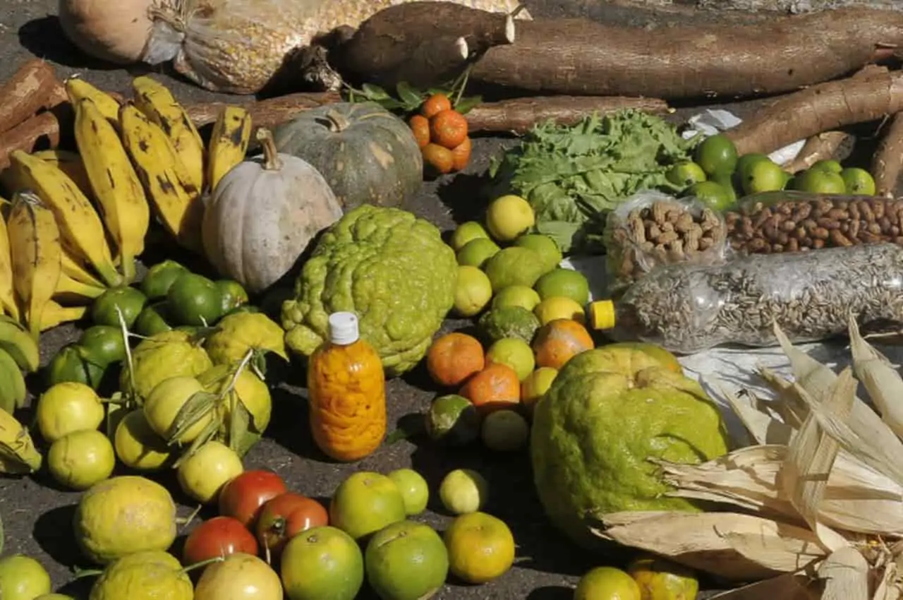 produtos da agricultura familiar