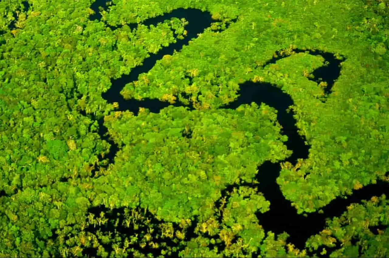 Bancos públicos brasileiros devem impulsionar economia verde no país 3 economia de baixo carbono