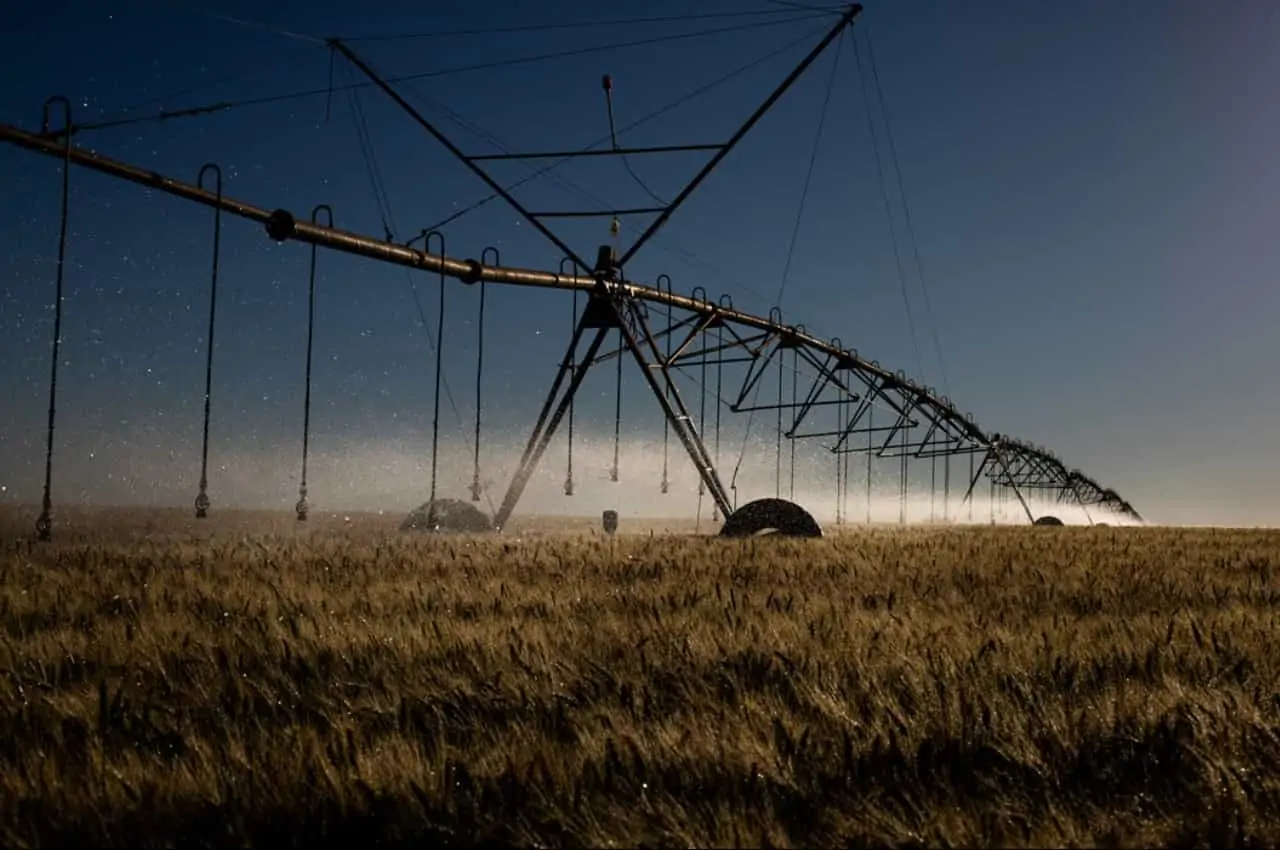 VBP do agronegócio para 2022 deve alcançar R$ 1,179 trilhão, diz Mapa 3 estimativa de vpb