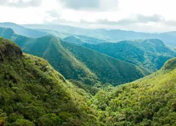 Mata Atlântica