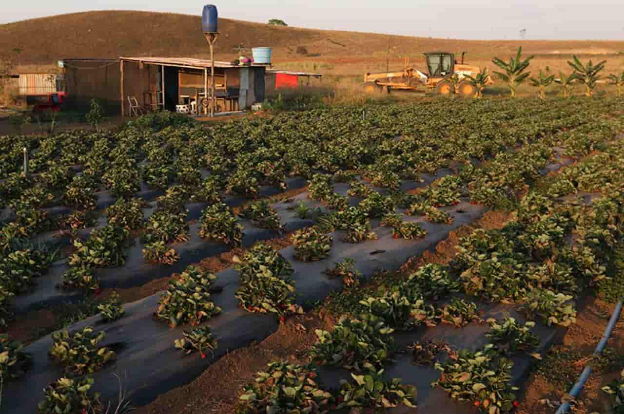 SDA entrega títulos de terra durante a Expoita - Secretaria do  Desenvolvimento Agrário