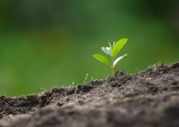 Potencial natural para a agricultura
