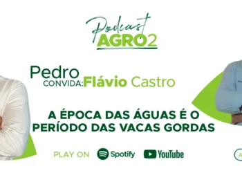 Podcast com Flavio Castro medico veterinario e doutor em nutricao