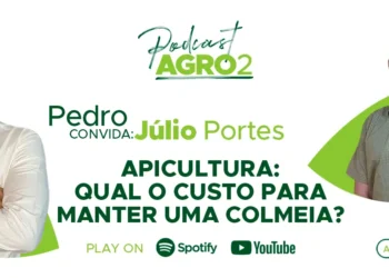 Podcast com Julio Portes