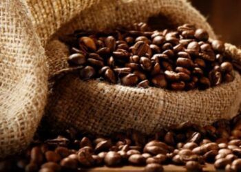produção de café