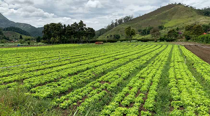 Potencial natural para a agricultura no país