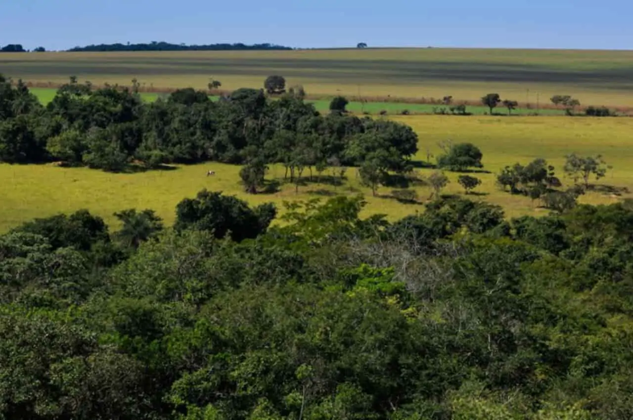 Programa de Regularização Ambiental