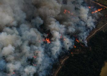 Área desmatada na Amazônia