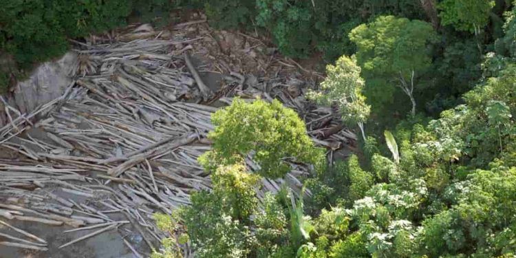 Amazônia